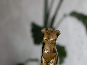 Gold plated (GP)