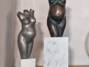 Plinths and pins - basics